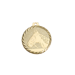 NZ29