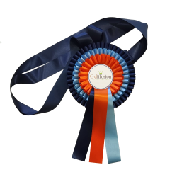 Écharpe de cavalier