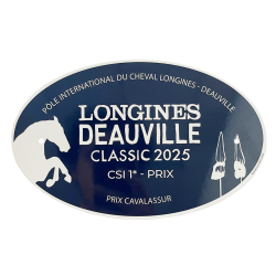 Plaque métal - laquée ovale